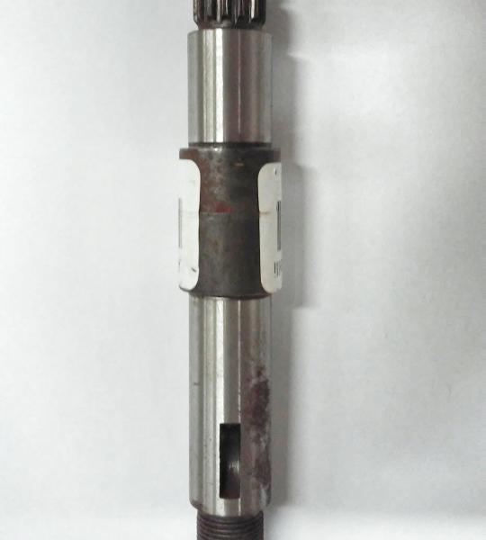 Albero Pignone Garelli Noi Team 2 Velocit�