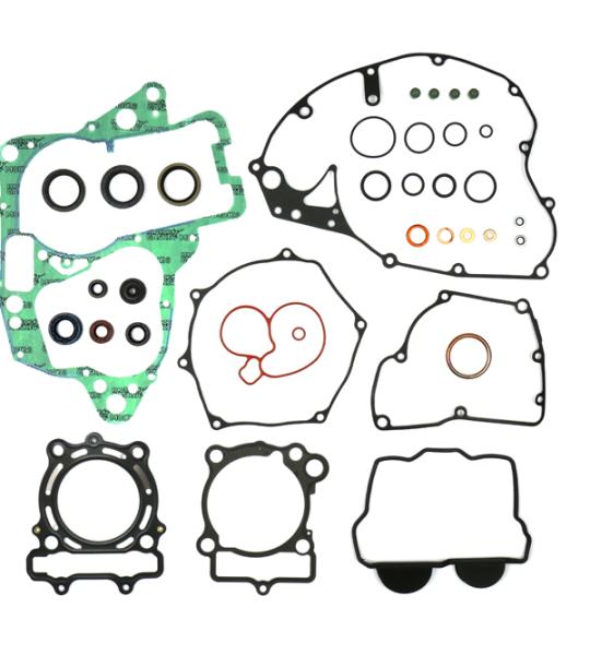 KIT GUARNIZIONI MOTORE SUZUKI RM-Z 250 + OIL SEALS 16-18