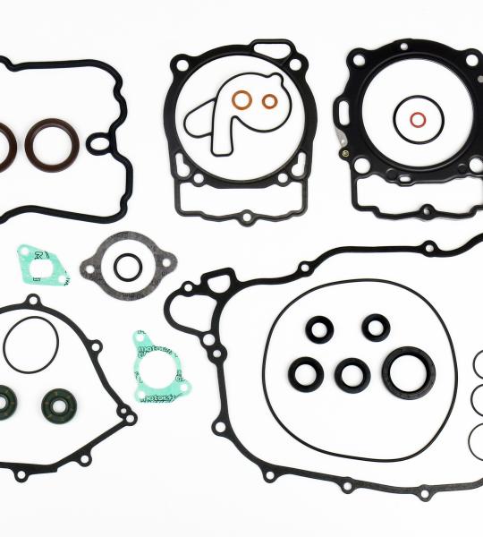 KIT GUARNIZIONI MOTORE KTM EXC 450/500 14-16 + OIL SEALS