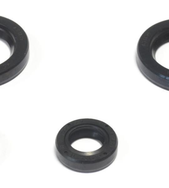 SERIE PARAOLIO KTM DUKE 125 11-16