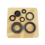SERIE PARAOLIO YAMAHA YZ 250 S/T 86-87