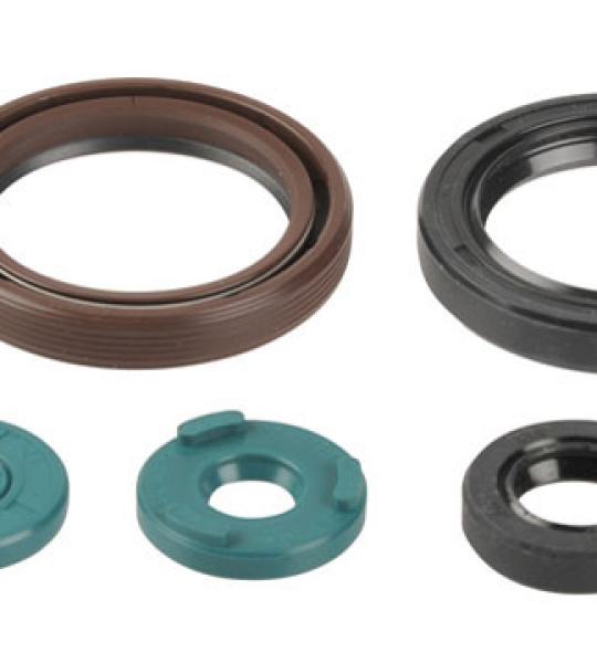 SERIE PARAOLIO KTM EXC450 09-11
