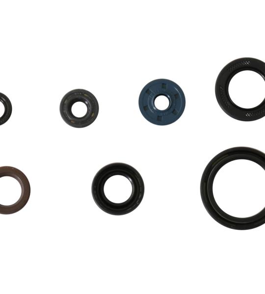 SERIE PARAOLIO YAMAHA YZ250F 14-18 / WR250F 15-18