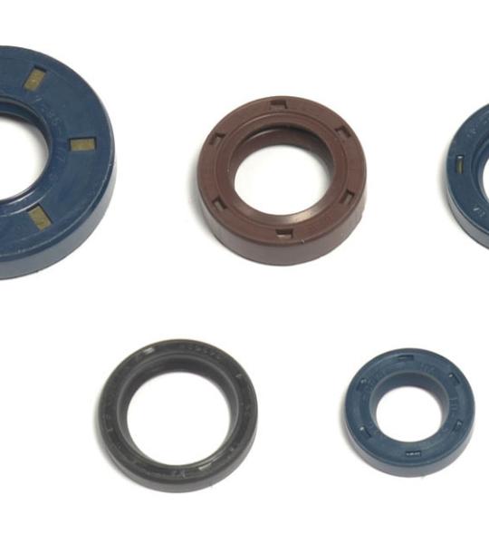 SERIE PARAOLIO HUSQVARNA CR50 2011