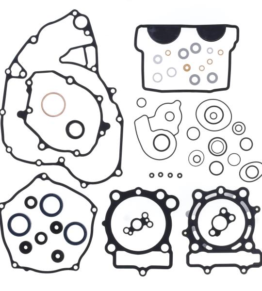 KIT GUARNIZIONI MOTORE KAWASAKI KX 250F + OIL SEALS 21-22