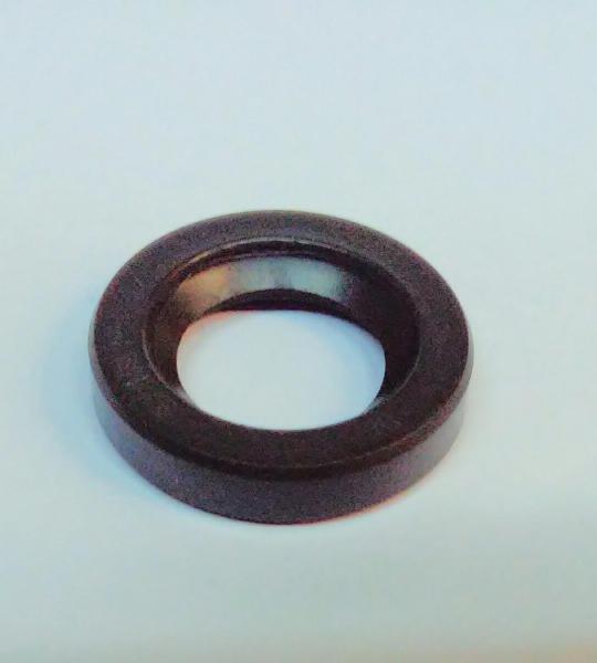 Paraolio 15x24x5 per Malaguti