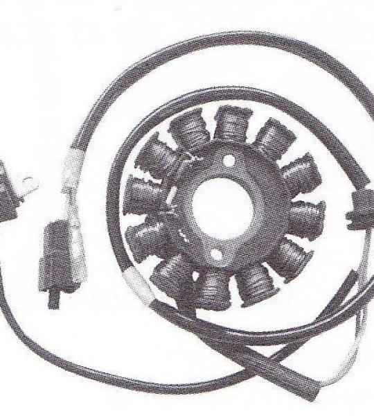 Statore 12 poli Kymco People S 125/200