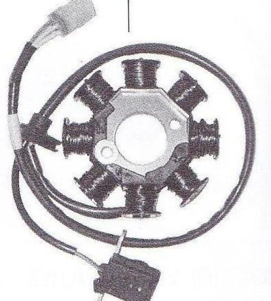 Statore 8 poli per motore Kymco People 50