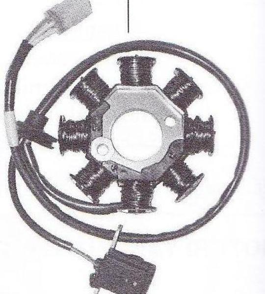 Statore 8 Poli per Kymco People 125/150