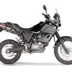 Scarico GPR compatibile con Yamaha Xt 660 Z Teneré 2008-2016 -  Gpe Ann. titanium -  Coppia di terminali di scarico omologati -  forniti con db killer removibile -  catalizzatori e raccordi specifici