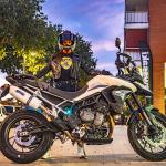 Scarico GPR compatibile con Triumph Tiger 900 2020-2023 - Albus Evo4