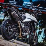 Scarico GPR compatibile con Triumph Tiger 850 2020-2024 - Dual Poppy