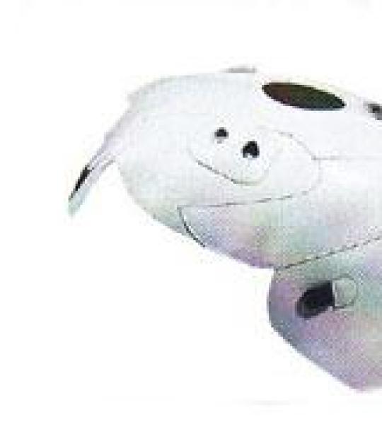 Copriserbatoio bianco per Yamaha TDM 900 2003