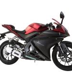 Scarico GPR compatibile con Yamaha Yzf-R 125  2014-2016 -  Albus Ceramic -  Scarico completo omologato - fornito con db killer estraibile e collettore