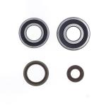 REVISIONE ALBERO MOTORE KIT GAS GAS EC250-300 2T 08-17