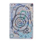 COMPLETE SET FANTESTA CILINDRO 249 K-ROO