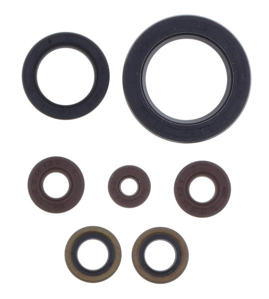 SERIE PARAOLIO SHERCO SEF-R 250/300 14-20