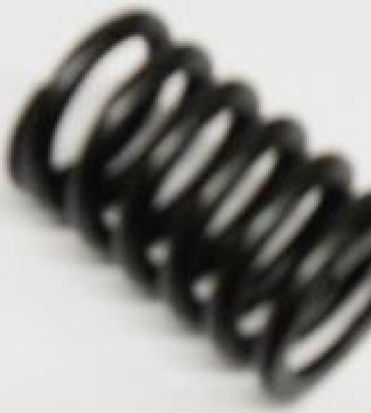 Molla valvola per Benelli 354