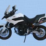Scarico GPR compatibile con Moto Morini Gran passo 1200 2008-2011 - Gpe Ann. Poppy