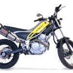 Scarico GPR compatibile con Yamaha Tricker 250 2005-2008 - Gpe Ann. titanium