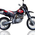 Scarico GPR compatibile con Yamaha Tt 600 R - Tt 600 E 1998-2004 -  Trioval -  Scarico omologato -  silenziatore con db killer estraibile e raccordo specifico