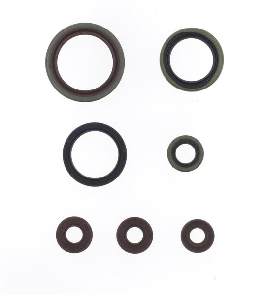 SERIE PARAOLIO SHERCO SE-R 250/300 14-20