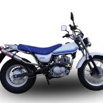 Scarico GPR compatibile con Suzuki Rv 125 Van Van 2003-2017 - Deeptone Inox