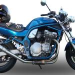 Scarico GPR compatibile con Suzuki Gsf 650 Bandit - S 2005-2006 - Deeptone Inox