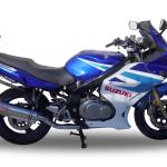 Scarico GPR compatibile con Suzuki Gs 500 E - F 1989-2007 - Trioval