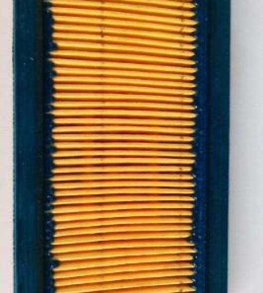 Filtro Aria Originale Cagiva Canyon 600 - 800076484