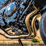 Scarico GPR compatibile con Kawasaki Z 650 RS 2021-2023 - Satinox Poppy 