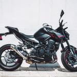 Scarico GPR compatibile con Kawasaki Z 900 E 2017-2020 - Powercone Evo