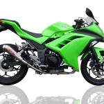 Scarico GPR compatibile con Kawasaki Ninja 300 R 2012-2017 - Powercone Evo