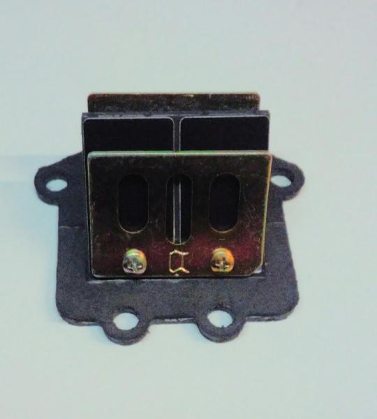 Pacco lamellare Malaguti G304