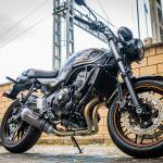 Scarico GPR compatibile con Kawasaki Z 650 RS 2021-2023 - Satinox Poppy 