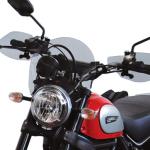 Coppia Di Paramani Per Ducati Scrambler Desert Sled 2017> - Scrambler 800 2015>2016
