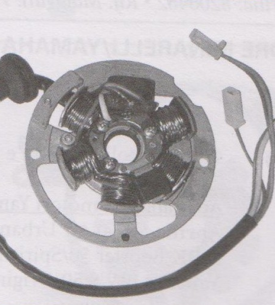 Statore per motore Minarelli 50 2T (impianto Ducati)