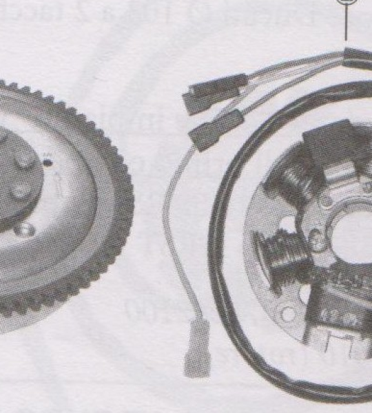 Volano per motore Minarelli 50 AM6 C/Mot Avv elettrico (imp Duca